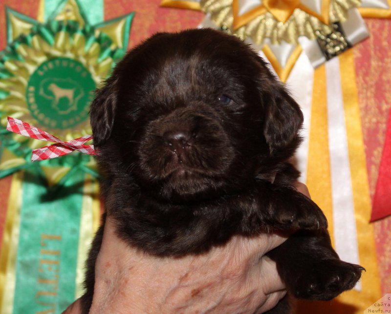 Фотография № 167321