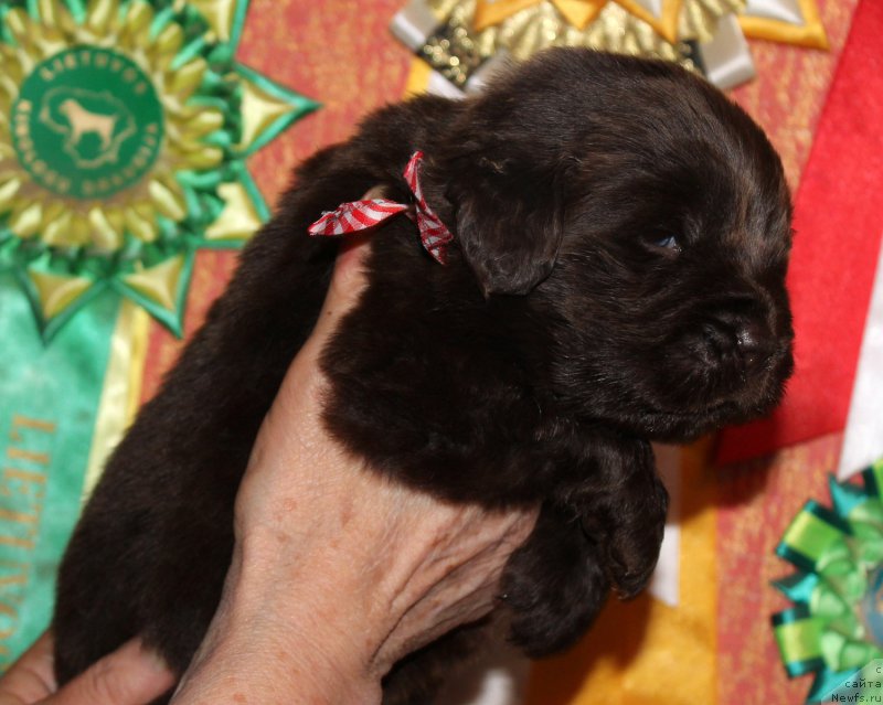 Фотография № 167322