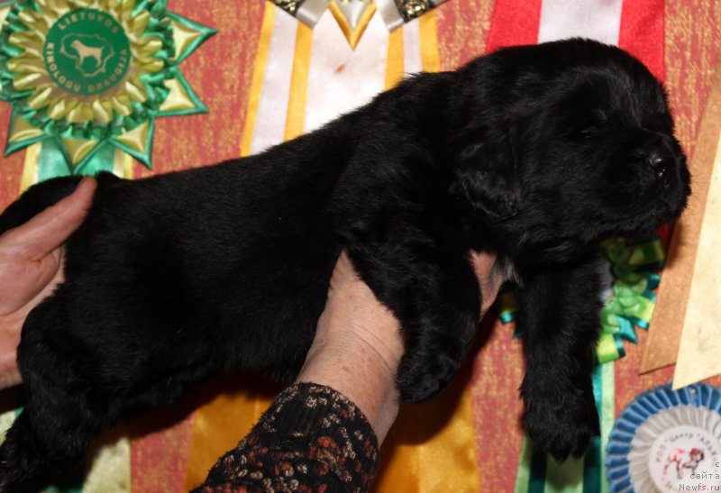 Фотография № 167325