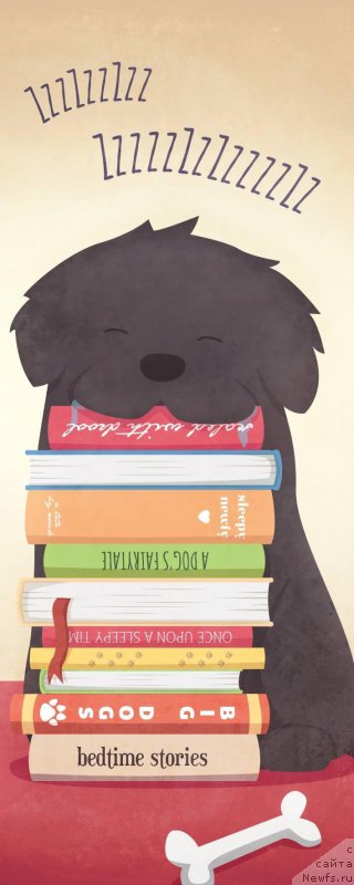 Фотография № 167326