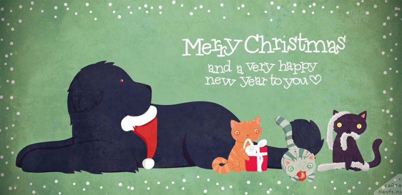 Фотография № 167327