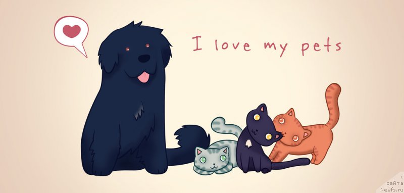 Фотография № 167328