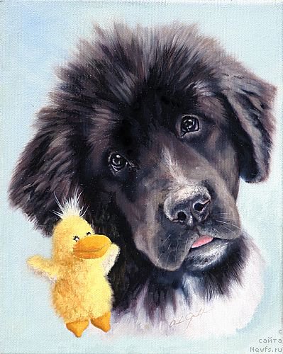 Фотография № 167330