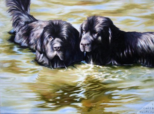 Фотография № 167334