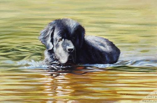 Фотография № 167335