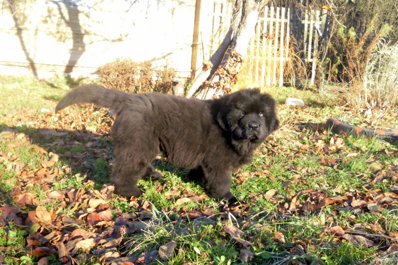 Фотография № 167355