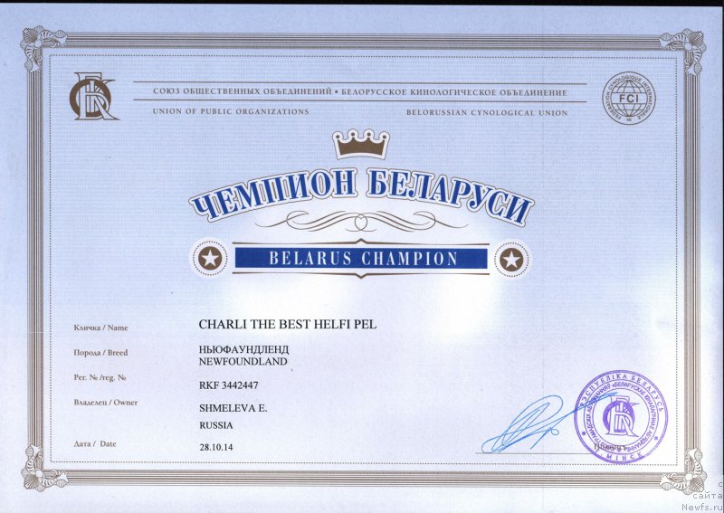 Фото: ньюфаундленд Charli The Best Helfi Pel (Чарли Де Бест Хелфи Пэл)