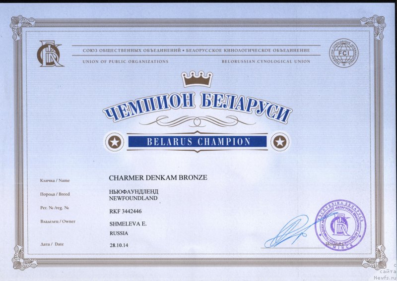 Фото: ньюфаундленд Charmer Denkam Bronze (Чармер Денкам Бронз)