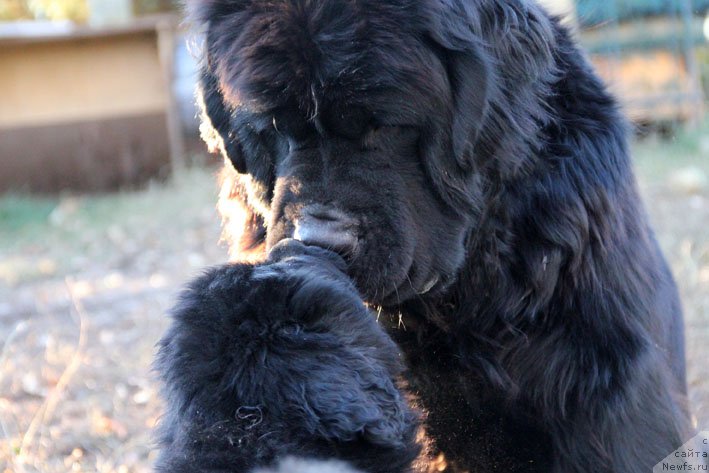 Фотография № 167396