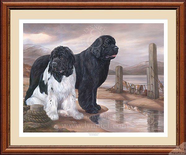 Фотография № 167399