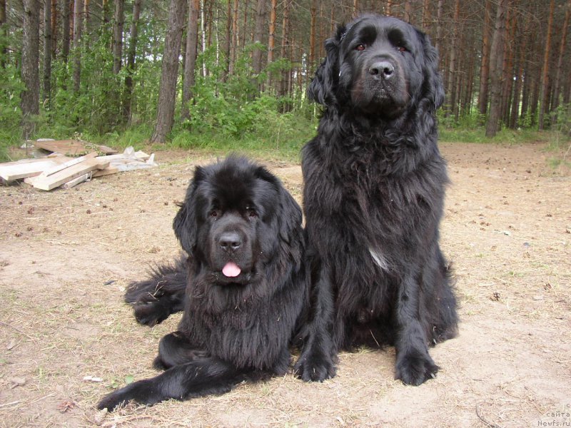 Фотография № 167402