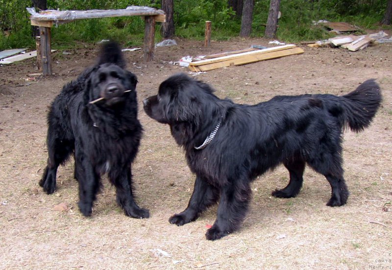 Фотография № 167405