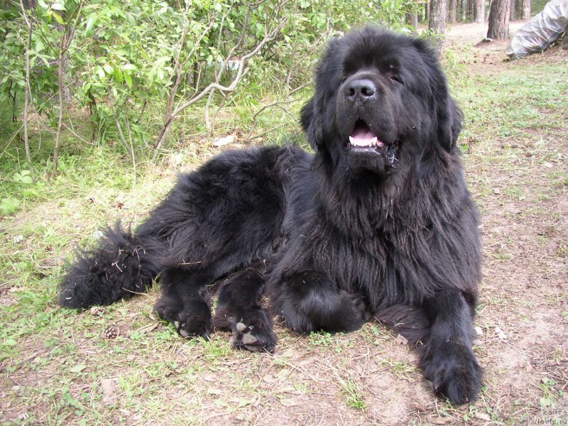 Фотография № 167407