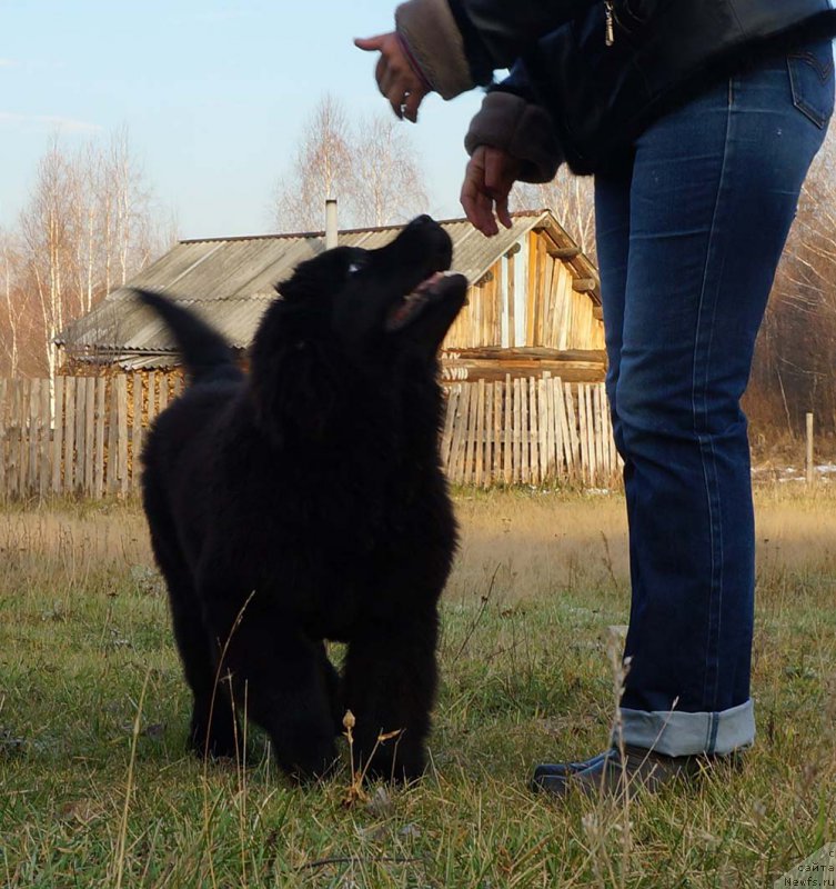Фото: Старди Коллекшн Глоб Де Фе