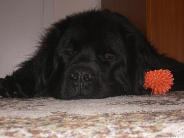 Фото: Glafira Koskoveckaya (Глафира Косковецкая)