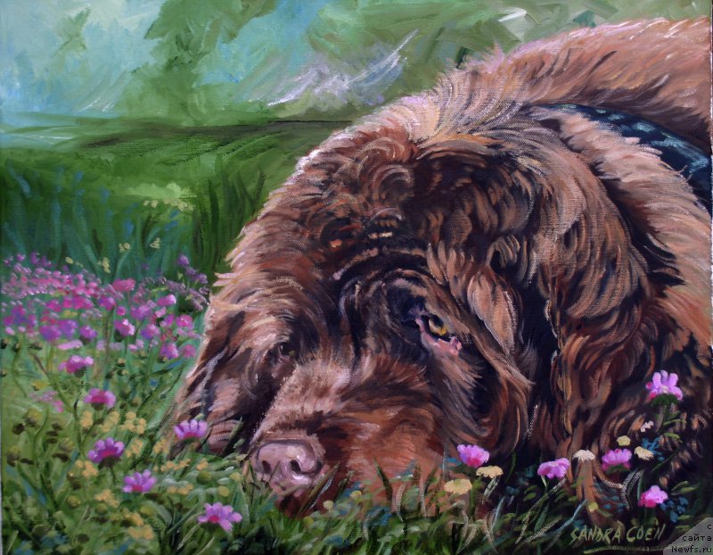 Фотография № 167440