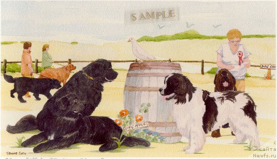 Фотография № 167442