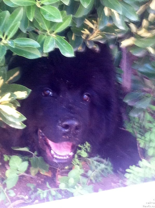 Фотография № 167454