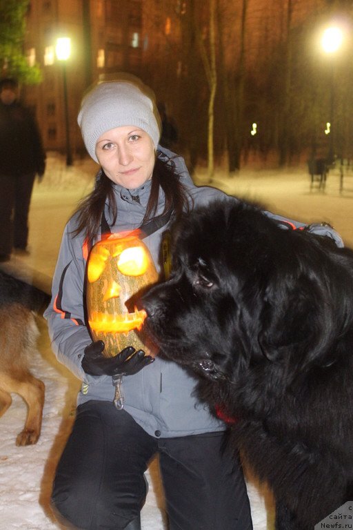 Фото: Anna Masal'skaya (Анна Масальская), ньюфаундленд Akvian Song Insayd Mi Vord (Аквиан Сонг Инсайд Ми Ворд)