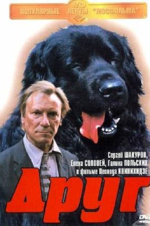 Фото: ньюфаундленд YUt Gay (Ют Гай)