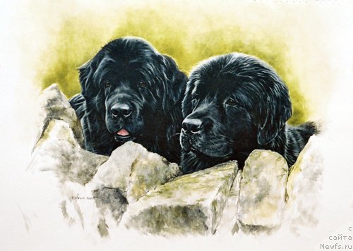 Фотография № 167546