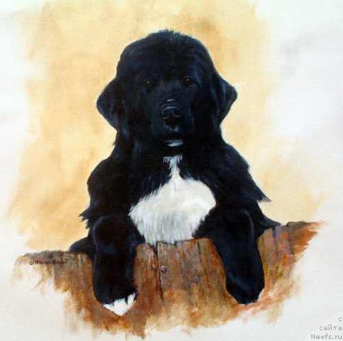 Фотография № 167549