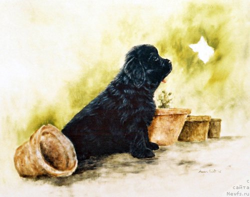 Фотография № 167551