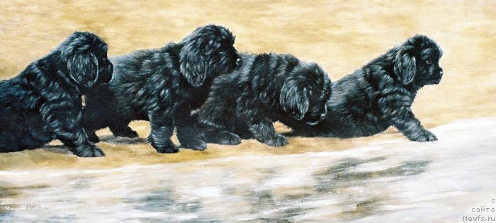 Фотография № 167555