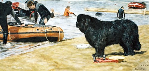 Фотография № 167561