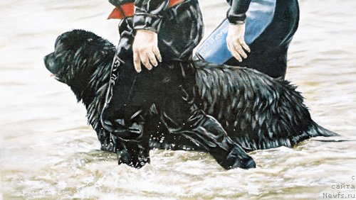 Фотография № 167562