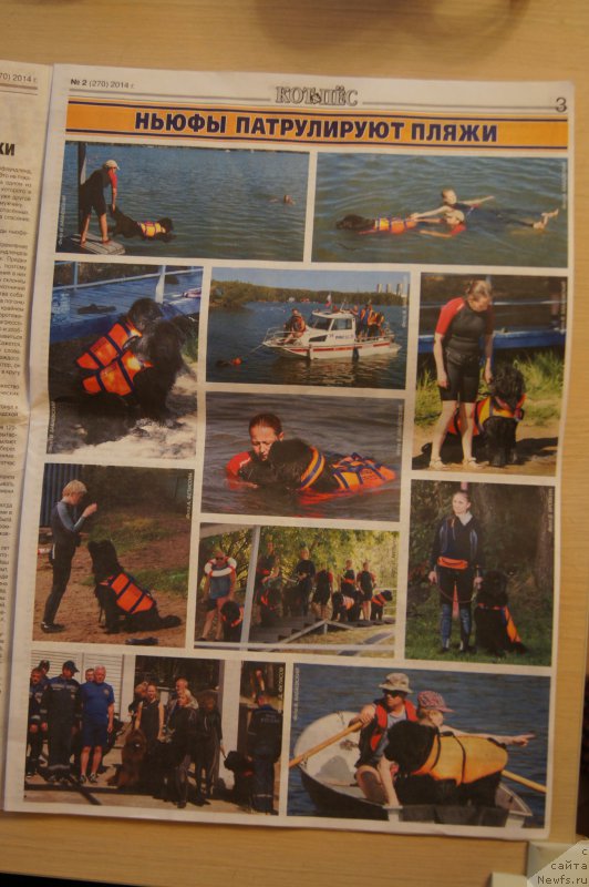 Фотография № 167570