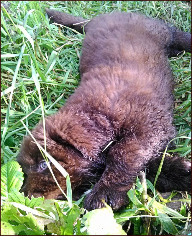 Фотография № 167582