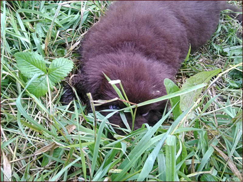 Фотография № 167583