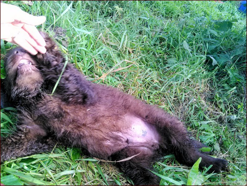 Фотография № 167586