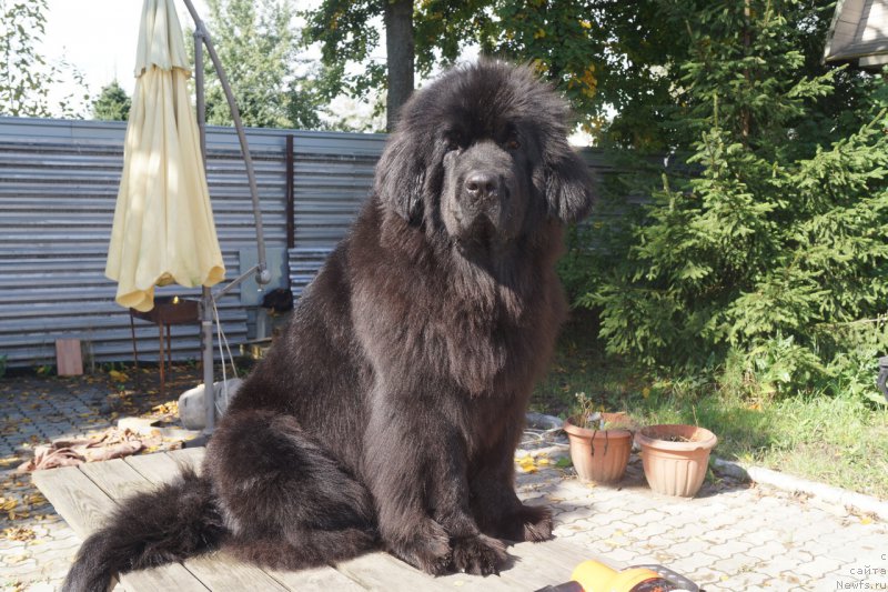 Фотография № 167593