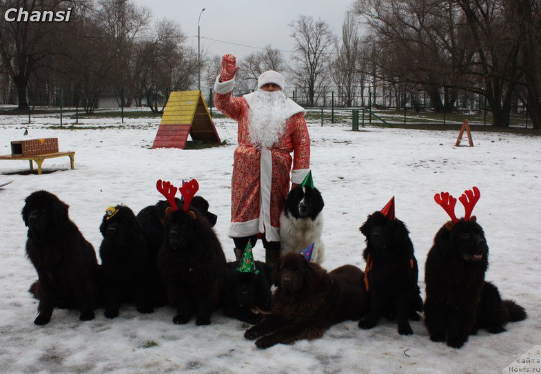 Фото: Aleksandr Burmistrov (Александр Бурмистров)