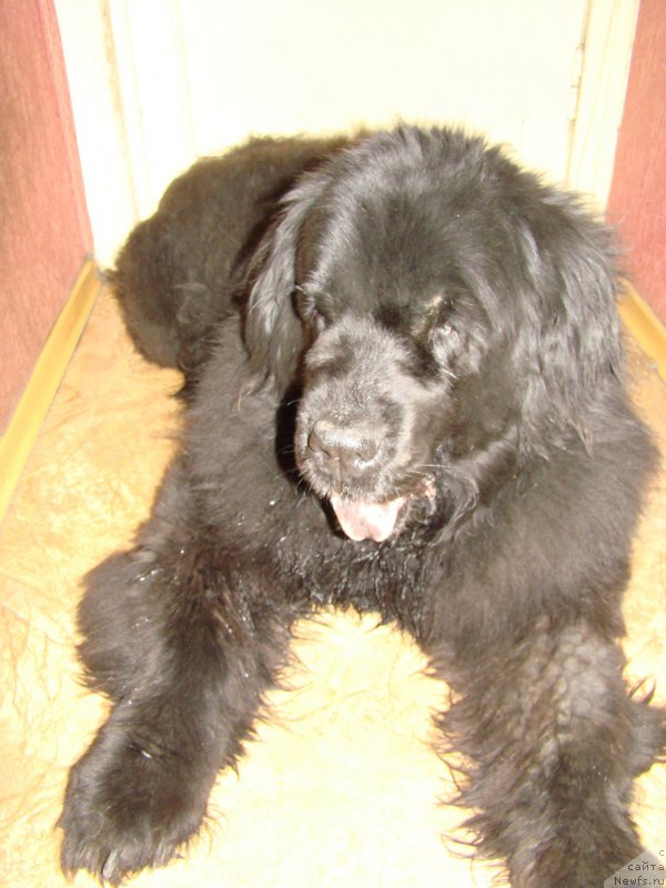 Фотография № 167617