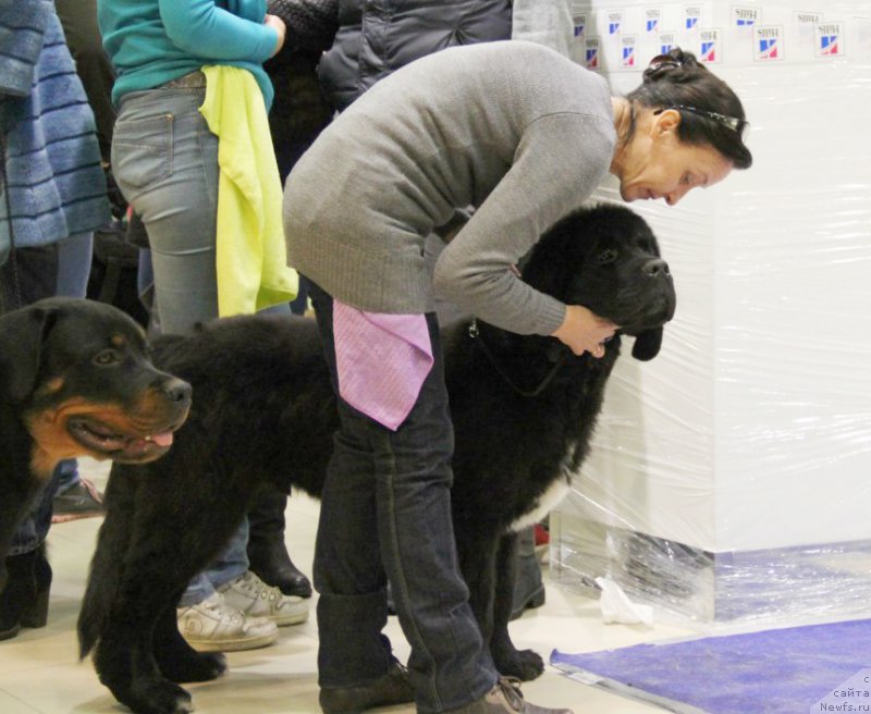 Фотография № 167620