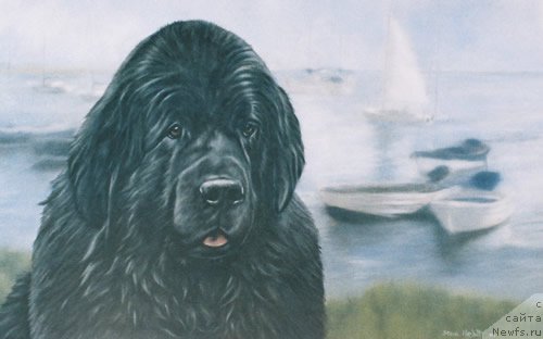 Фотография № 167636