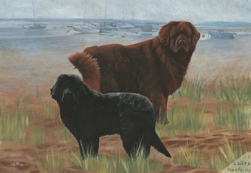 Фотография № 167638