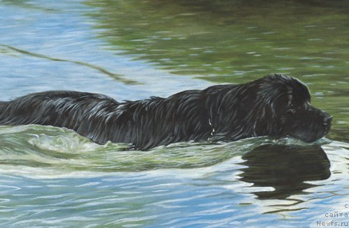 Фотография № 167639