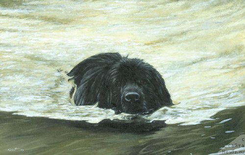 Фотография № 167640