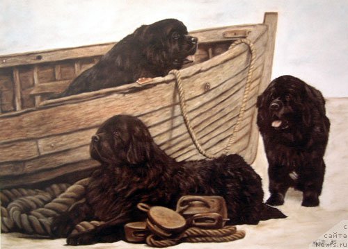 Фотография № 167644