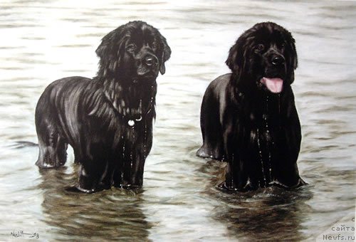 Фотография № 167645