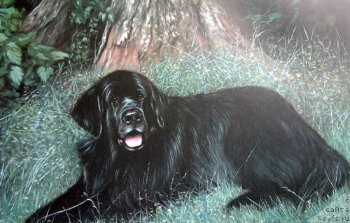 Фотография № 167646