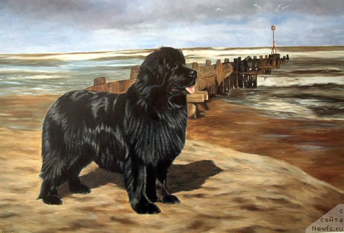 Фотография № 167648