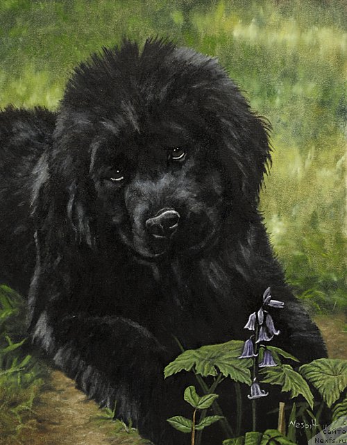 Фотография № 167650