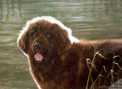 Фотография № 167654