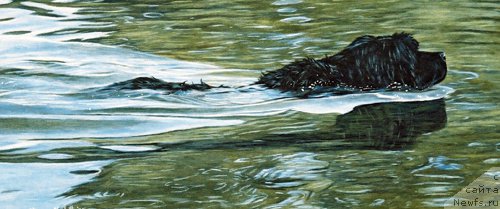 Фотография № 167655