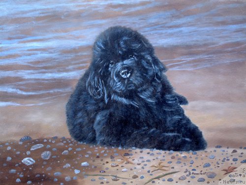 Фотография № 167656